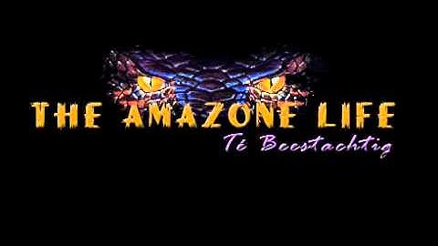 P-Co 2010 The Amazone Life, Te Beestachtig!