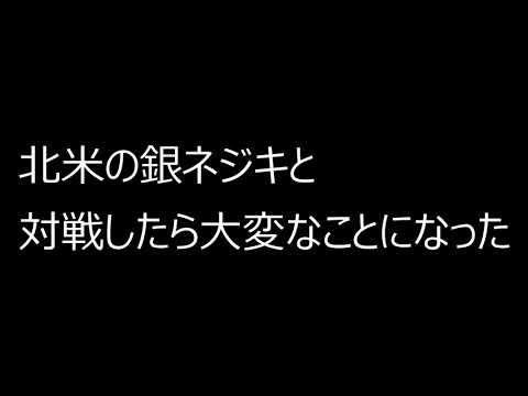 ポケモン 世界一理不尽な銀ネジキ 北米版 バトルファクトリー Youtube ポケモン 世界一理不尽な銀ネジキ 北米版 バトルファクトリー Youtube