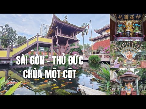 chùa ở thủ đức New Sài Gòn - Thủ Đức có Chùa Một Cột rất rất đẹp, cá rùa lội tung tăng, cây cỏ xanh mướt, hoa nở rộ