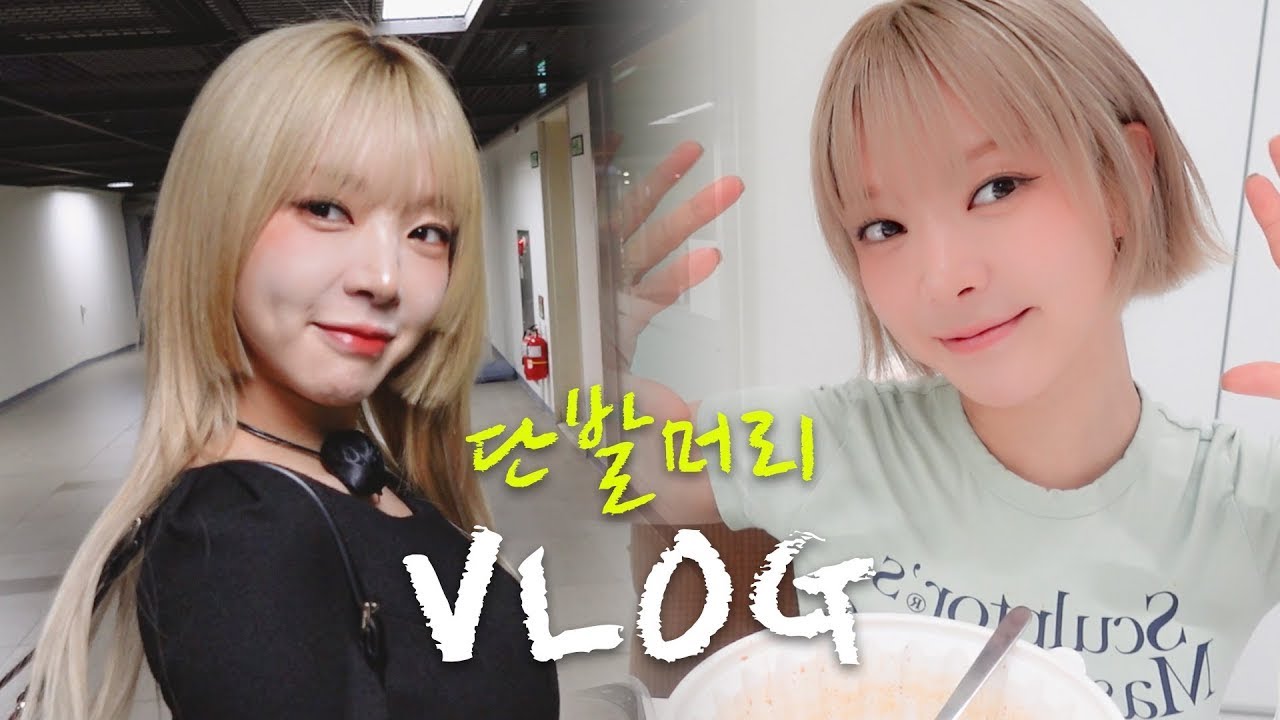 일상VLOG | 쌍둥이 조카 돌잔치, 단발머리, 국악 콜라보 녹음, 물회먹방