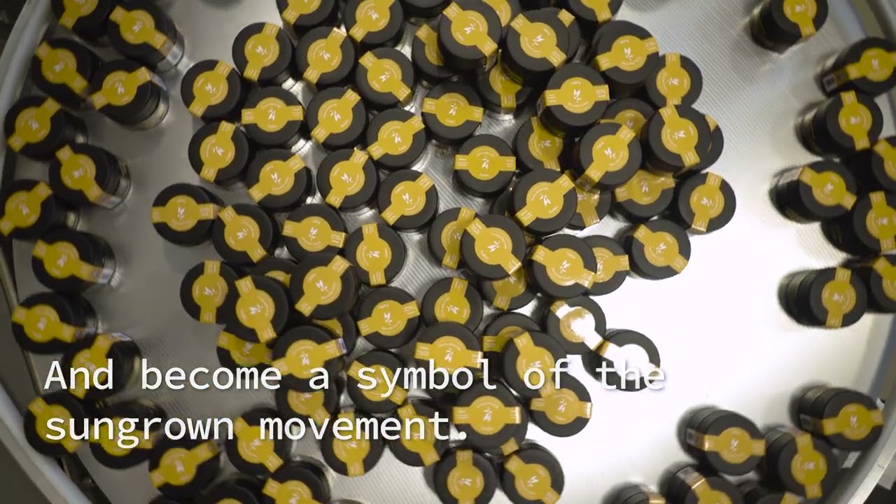 The Evolution of Flow Kana into FK+. The importance of Sungrown