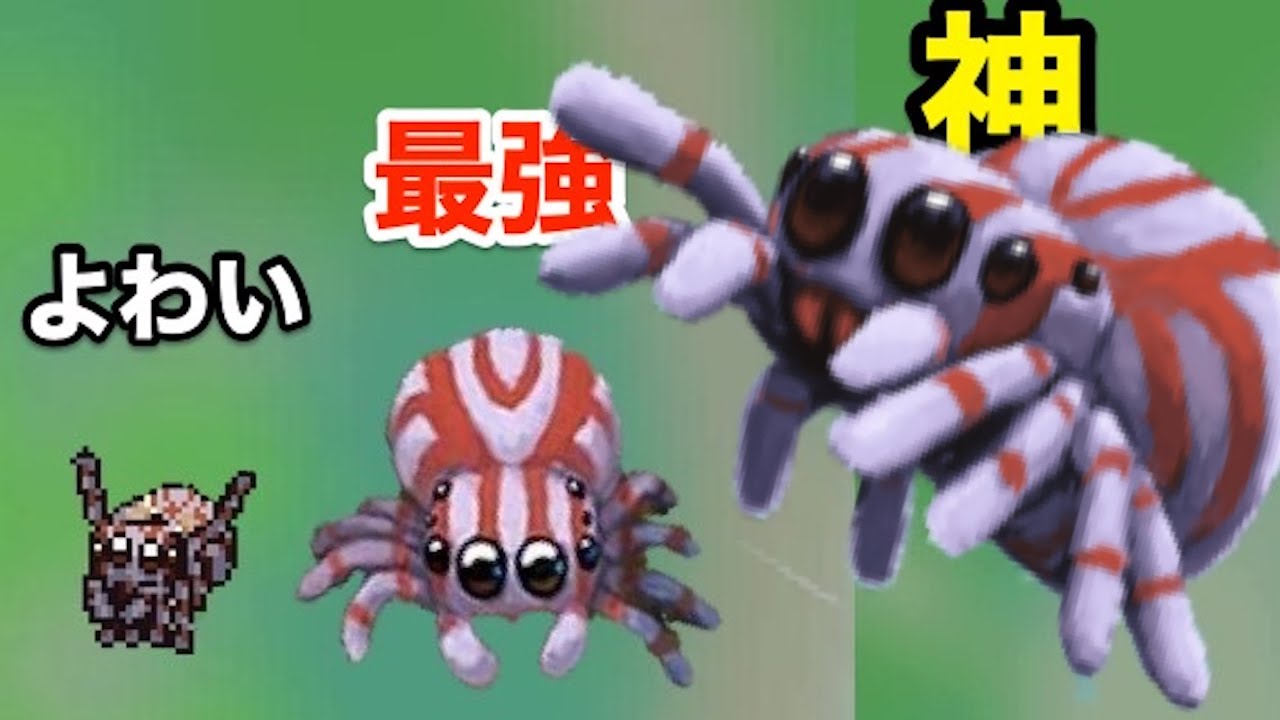 小さいクモになって天敵から食われないようにサバイバルする神ゲー【 Webbed 】