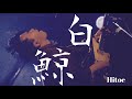 【白鯨】Hitoe ライブ映像 #guitar #guitarrock #band #新潟
