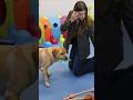 🇪🇸#Infantasofia The#Royalsister Of#Princessleonore Having Great Time With Cute Puppy#spanishroyalty