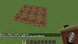 How To Get The Invisible Item Frame In Minecraft Java 2025 Working