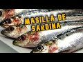 Como hacer masilla de sardina