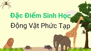 Động vật phức tạp - Sinh học - tập 23 | Tri thức nhân loại