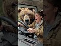 A Woman Saves A Bear Cub And Earns Its Mother S Gratitude 