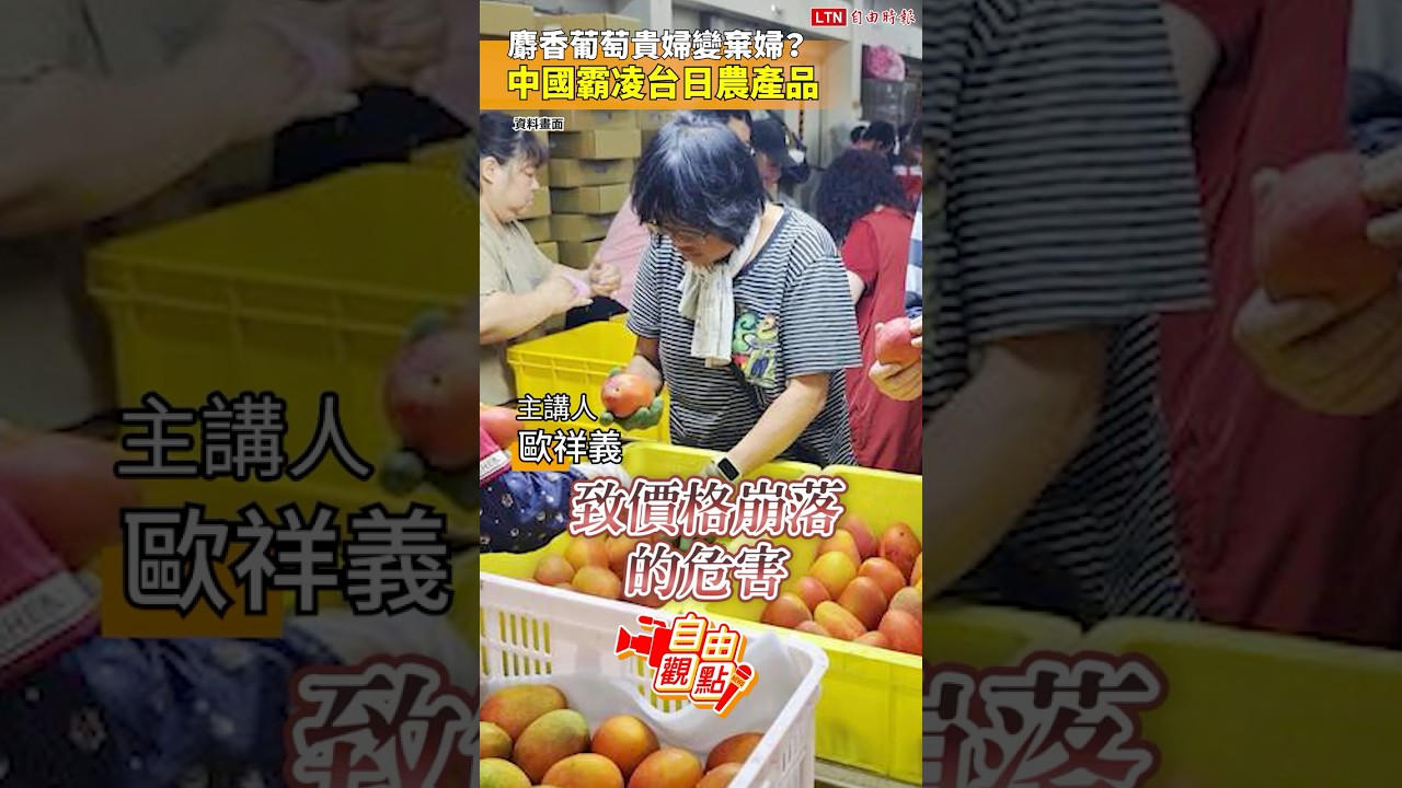 麝香葡萄貴婦變棄婦？ 中國霸凌台日農產品｜20261004自由觀點｜#shorts