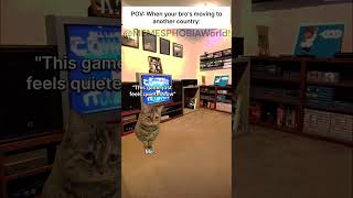 CAT MEMES 😺 When your bro's moving to another country: #catmemes #relatable #memesphobiaworld