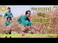 my second vlog bhojpuri me #dk vlog bhojpuri me / डीके व्लॉग भोजपुरी में.गेहूं के कटाई शुरू हो गईं