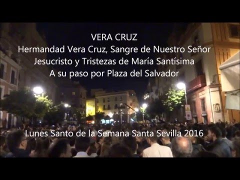 Muy Antigua, Siempre Ilustre, Venerable, Pontificia, Real, Fervorosa, Humilde y Seráfica Hermandad y Archicofradía de Nazarenos de la Santísima Vera-Cruz, Sangre de Nuestro Señor Jesucristo y Tristezas de María Santísima