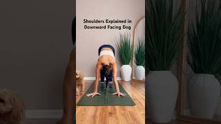 Get clarity on your shoulders in downward facing dog 🙏🏽
