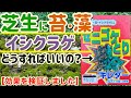 【苔用除草剤】芝生・庭のゼニゴケとりキレダー【イシクラゲ・藻・ガーデニング】