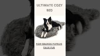 Ultimate Dog Bed Guide: Top 10 Orthopedic Dog Beds for Comfort & Support 🐶👑