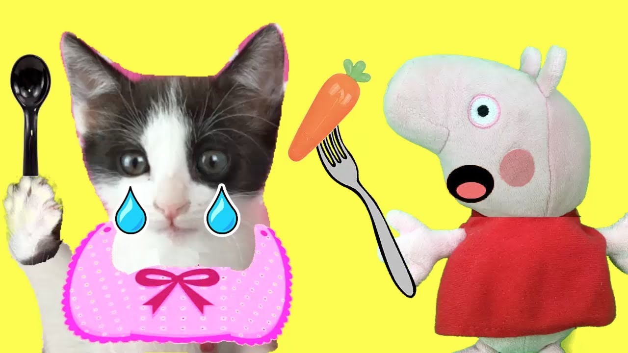 Peppa pig en español / Pepa la cerdita ayudando con la comida de mis gatitos bebés