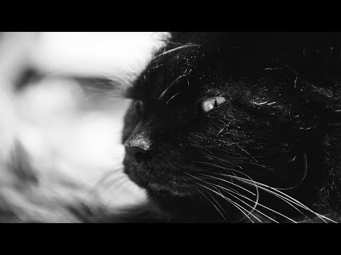 Sabura Malderla Original Mix 