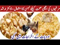 Antibacterial, Antiviral, Antifungal, Antiprotozoal & Immunobooster for Chickens by Dr Arshad