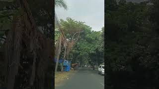 Download Lagu Martajasah Bangkalan #trevel MP3