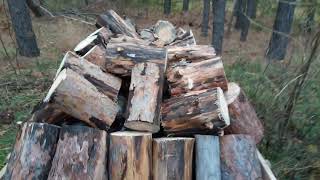 Мотоблок Нева, поездка в лес за дровами