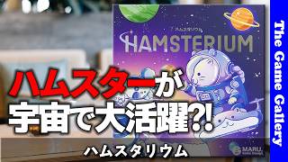【ハムスタリウム】ハムスターを増やして宇宙開拓！まとめ置きが熱い  /  ボードゲームレビュー