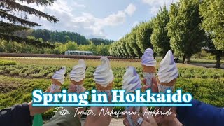 Spring in Hokkaido | Farm Tomita, Nakafurano, Hokkaido