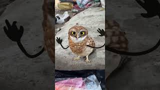 Ullu Trending Video