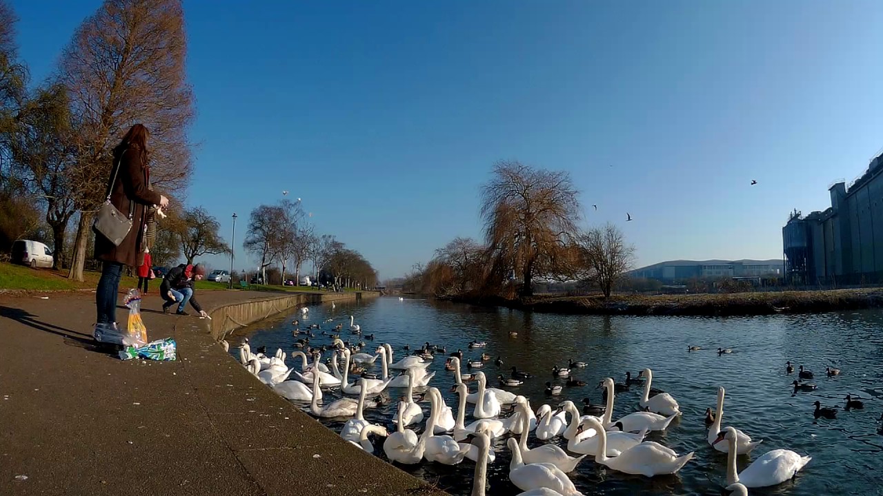 Olfi one.five Timelapse Footage