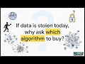 PQC Layer 1: Where Does Your Encryption Actually Live?