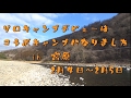 ２０１７初キャンプ　ソロキャンデビューはコラボキャンプ
