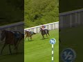 Loose horse drama in the Goodwood Cup 😮