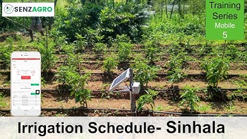 Irrigation Schedule- Sinhala | Mobile Dashboard-Training tutorial | Senzagro