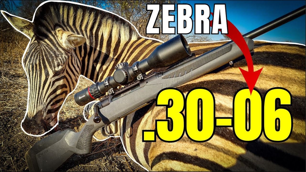 .30-06 vs Zebra [DROPPED with Perfect Shot Placement] - Big Game ...