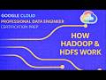 Hadoop and HDFS for Google cloud - Dataproc