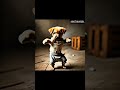 #dogdance dog dance #chikendance chicken #catdance cat dance #chikensong #viral