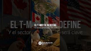 La revisión del T-MEC puede cambiar el juego para la avicultura 🐔