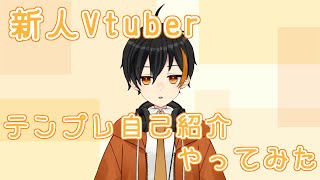 「【新人Vtuber】はじめましてのごあいさつ【室井ろむ】」のサムネイル