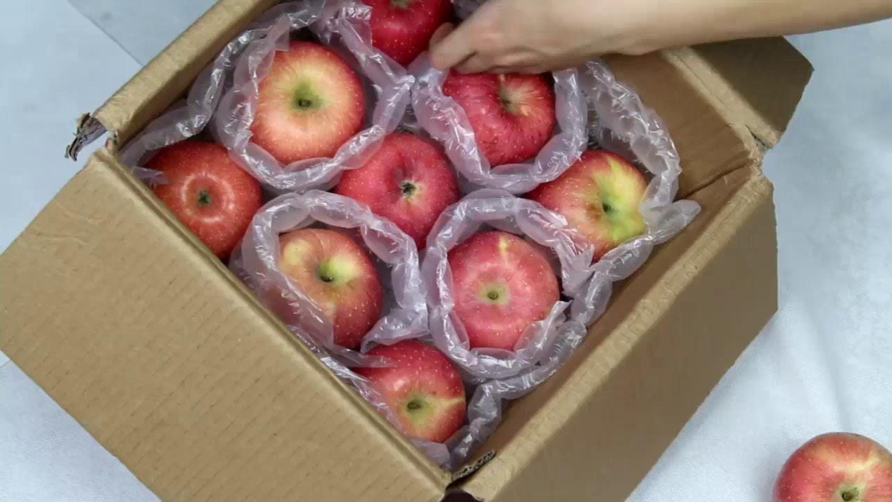 Guangzhou PackBest - Air Column Bag Roll For Packing Fresh Friut