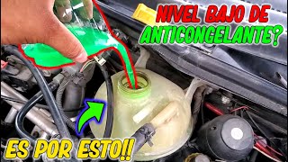 🟢Why is my car 🚘 using antifreeze?🤔 We'll tell you everything you need to know about your car!😉‼