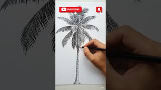 How to Draw a Coconut Tree Step-by-Step ✏️ #Shorts #drawing