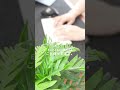 Excelの裏ワザ