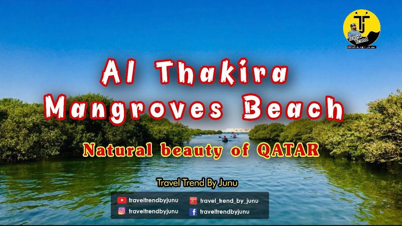 Al Thakira Mangroves End-Beach Qatar | Mangroves in Qatar | Travel Trend By Junu | Vlog # 29