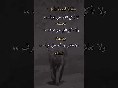 عبارات وحالات واتس اب قصيرة ستوري مشاركه لايك واشتراك