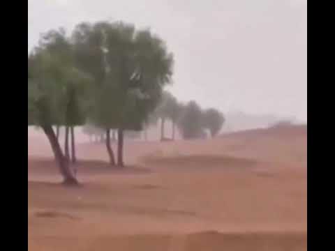 Dubayda suni yağış yağdırıldı