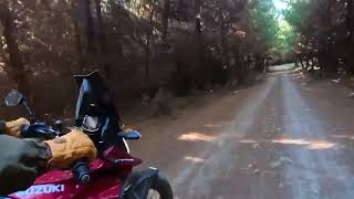 2026 Suzuki V-Strom 250 Sx - A Hard Day And Hopefully Better Roads Ahead