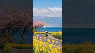 Sahibaa Song lyrics ❣️+Chill Beats 😎#shorts . #nainachillbeats💫