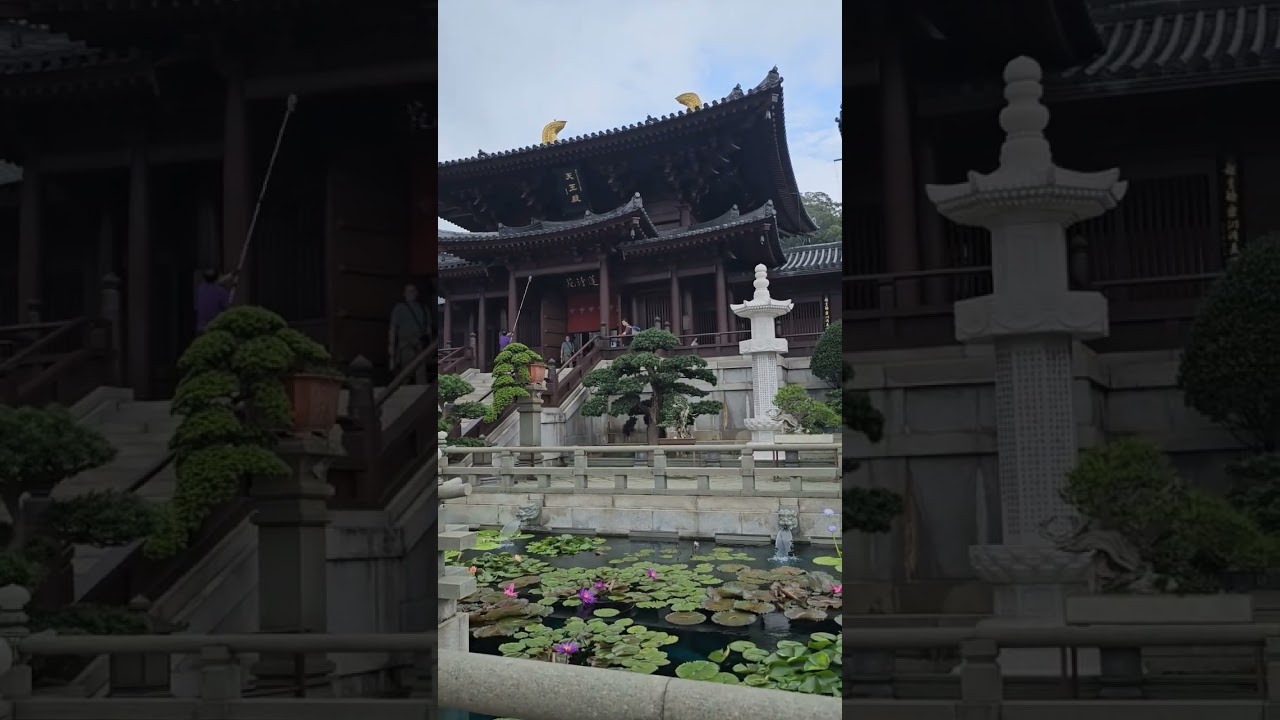 Beautiul Flowers, Lotus pond & and chinese temples. 