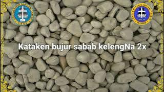 Alu Bulat Ukurku (Mamrs Mamre / Guide Bass)