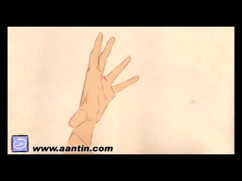 Hand turn animation - YouTube
