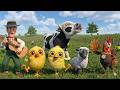 El pollito y el Tractor de la Granja de Zenón de la Vaca Toro y del Pollito la